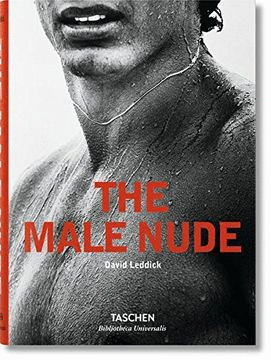 MALE NUDE, THE