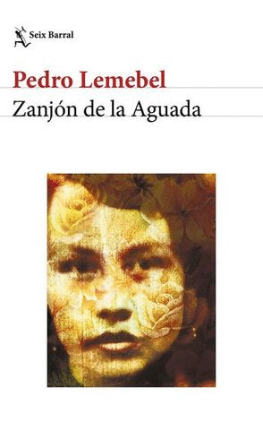 ZANJON DE LA AGUADA
