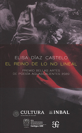REINO DE LO NO LINEAL, EL