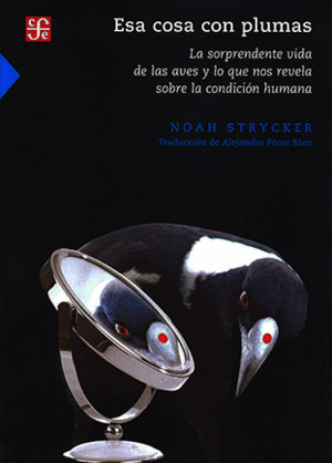 ESA COSA CON PLUMAS :