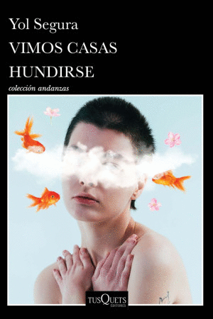 VIMOS CASAS HUNDIRSE / YOL SEGURA