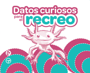 DATOS CURIOSOS PARA EL RECREO