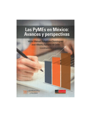 PYMES EN MEXICO, LAS