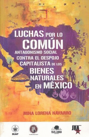 LUCHAS POR LO COMUN :