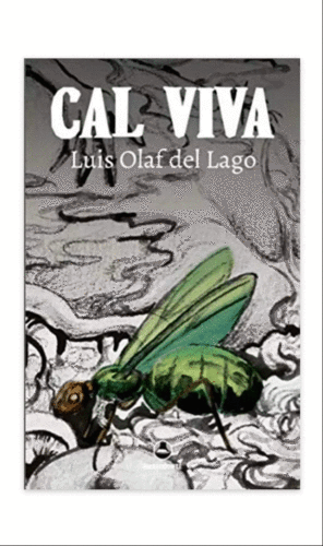 CAL VIVA / LUIS OLAF DEL LAGO