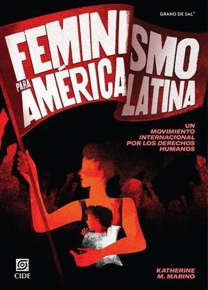 FEMINISMO PARA AMERICA LATINA :