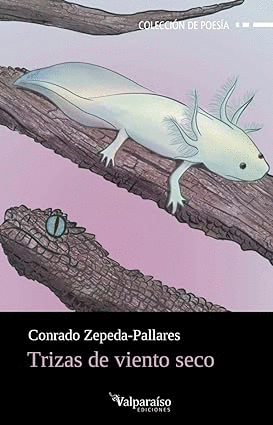 TRIZAS DE VIENTO SECO / CONRADO ZEPEDA-PALLARES