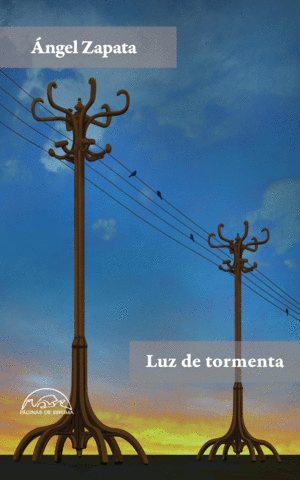 LUZ DE TORMENTA / ANGEL ZAPATA
