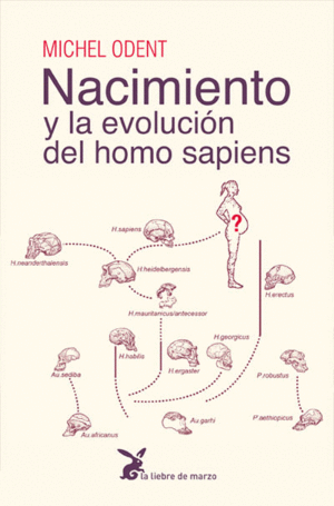 NACIMIENTO Y LA EVOLUCION DEL HOMO SAPIENS.