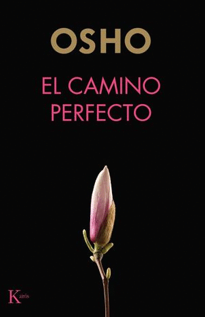 CAMINO PERFECTO, EL