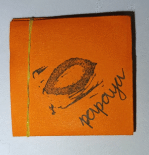 PAPAYA / MARIA JOSE MONTEZUMA
