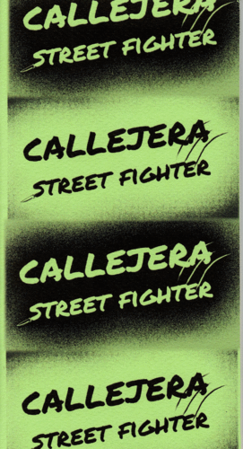 CALLEJERA STREET FIGHTER / ANA BEATRIZ