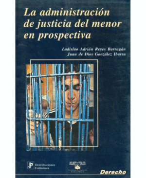 ADMINISTRACION DE JUSTICIA DEL MENOR EN PROSPECTIVA, LA