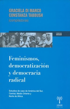 FEMINISMOS DEMOCRATIZACION Y DEMOCRACIA RADICAL: